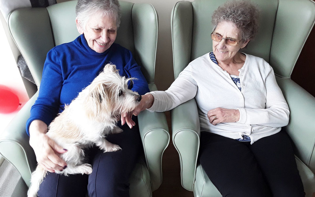 National Love Your Pet Day at Sonya Lodge Residential Care Home