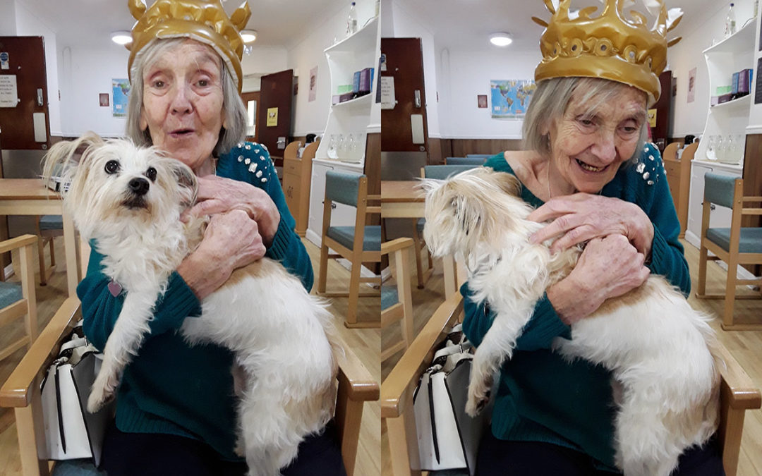Resident dog Roxi brings a smile to Sonya Lodge Care Home residents