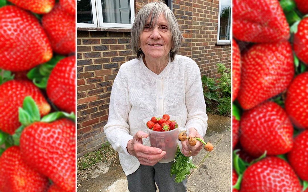 Strawberries and games at Sonya Lodge Residential Care Home