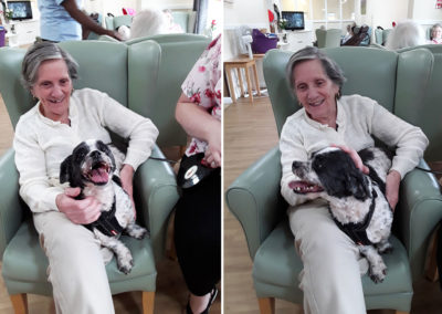 Ringo the dog with a Sonya Lodge Residential Care Home resident