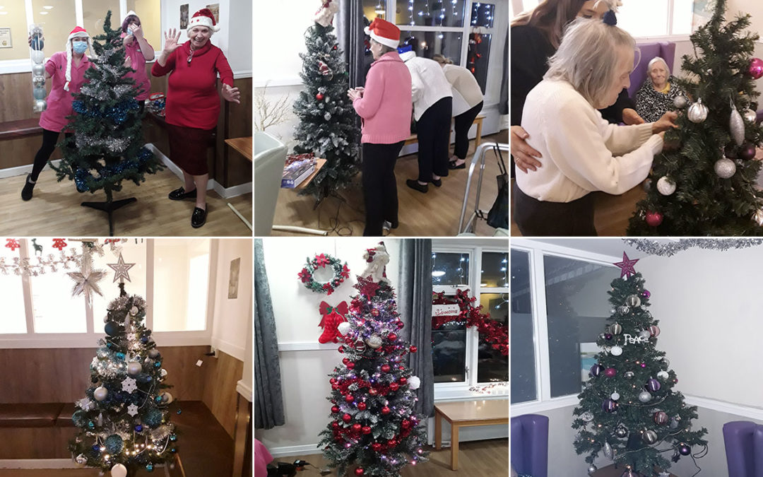 Sonya Lodge Residential Care Home hosts Christmas Tree Decorating Tree Off