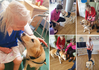 Sonya Lodge Residential Care Home residents enjoying the company of PAT dog Lois