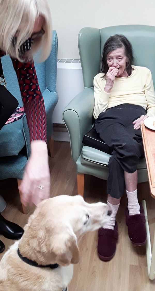 Sonya Lodge Residential Care Home resident being shown Lois the PAT Dog