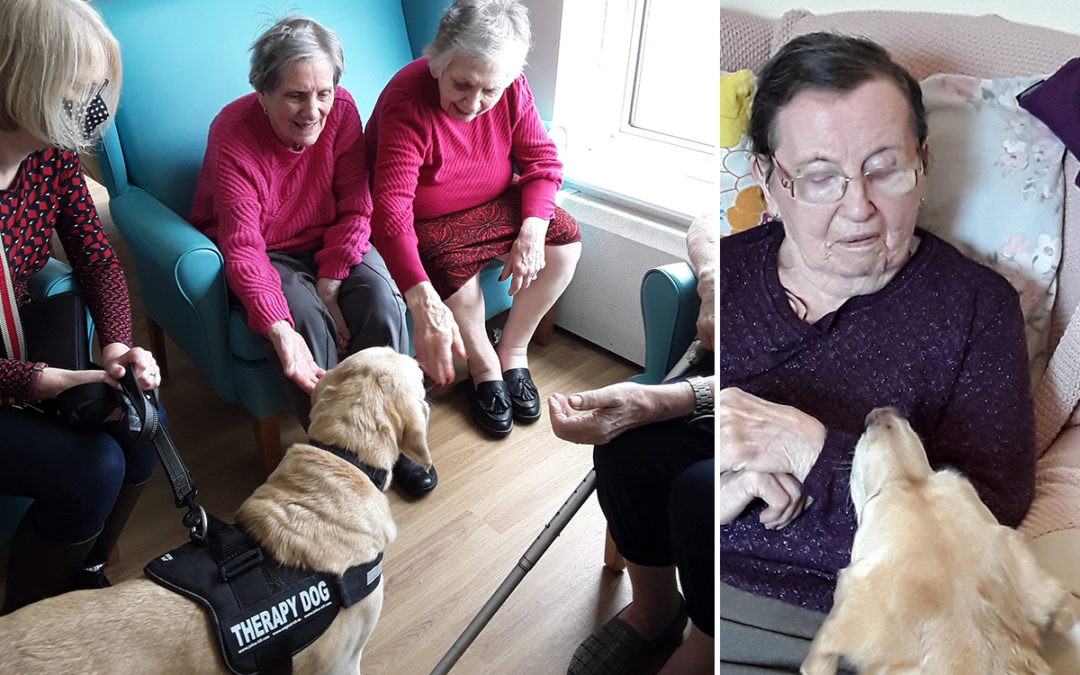 Lois brings the smiles to Sonya Lodge Residential Care Home
