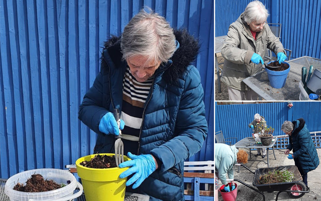 Garden preparations at Sonya Lodge Residential Care Home