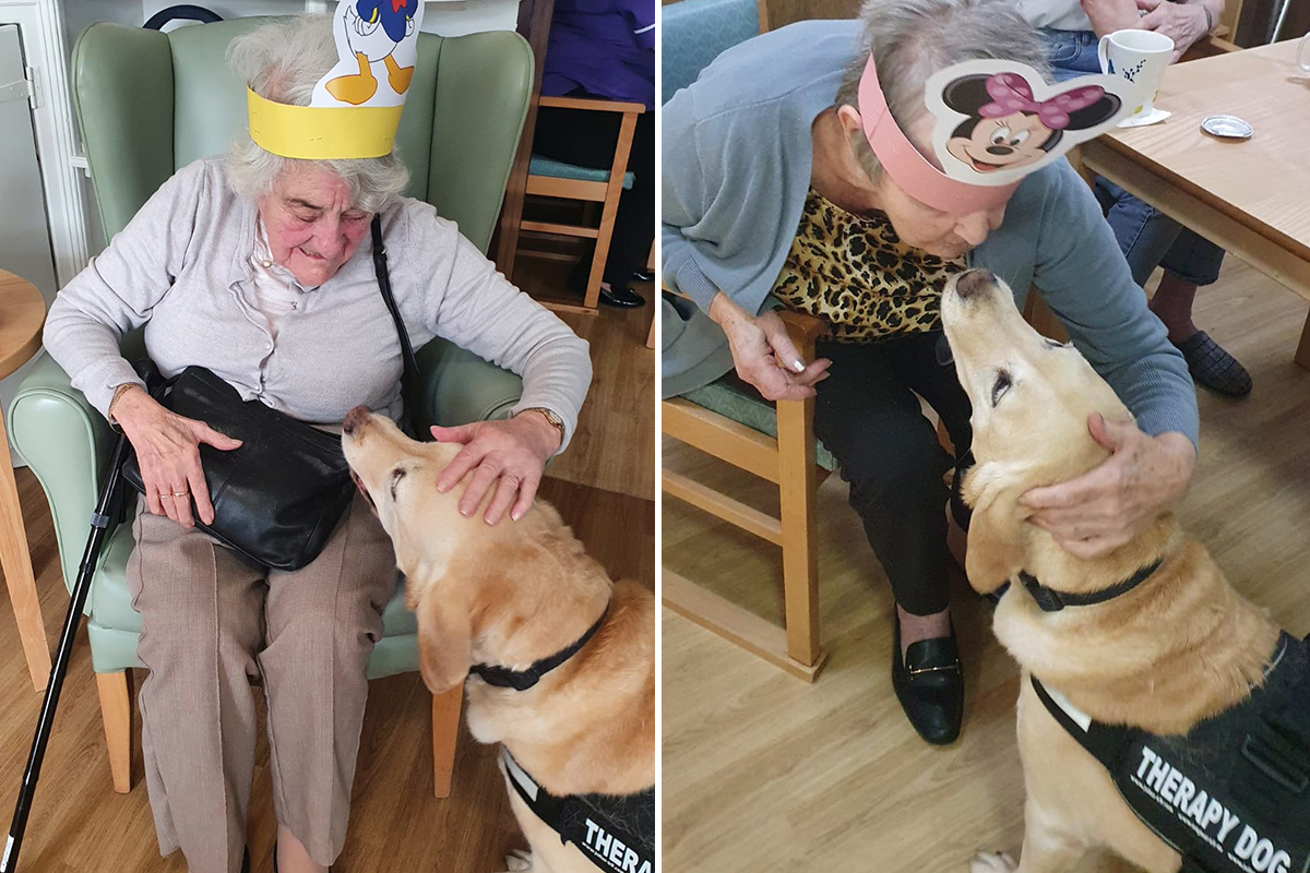  Lois APT Dog visiting Sonya Lodge Residential Care Home residents