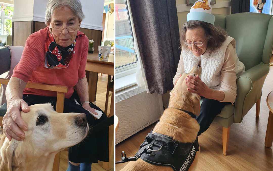 Therapy Dog Lois visits Sonya Lodge Residential Care Home residents