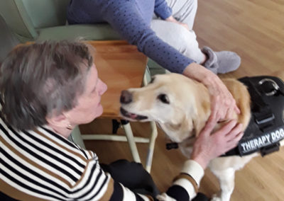 Lois the therapy dog enjoying a stroke at Sonya Lodge Residential Care Home