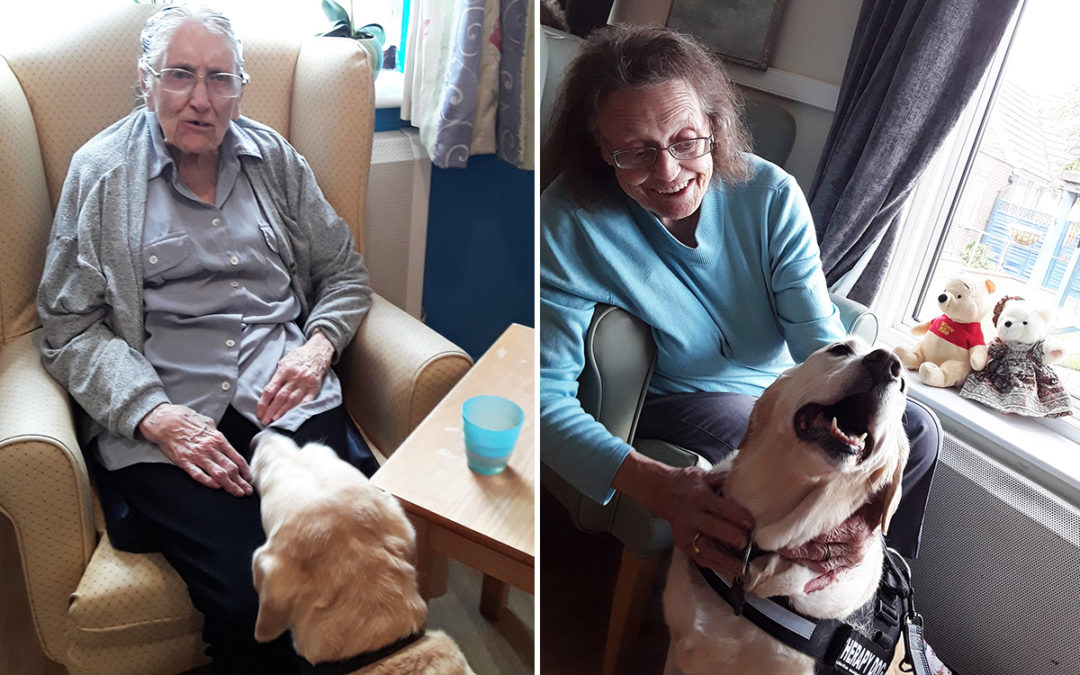 Visit from Lois the therapy dog at Sonya Lodge Residential Care Home