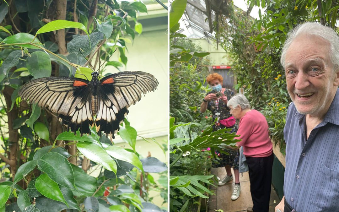 Sonya Lodge Residential Care Home residents enjoy befriending butterflies