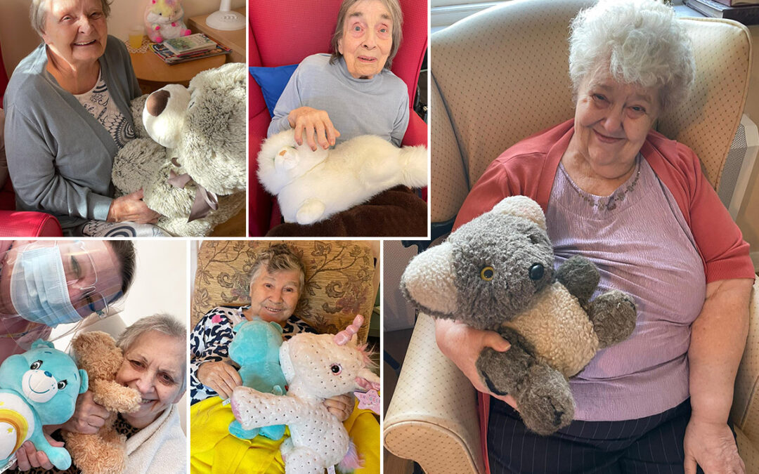 Teddy bear love at Sonya Lodge Residential Care Home