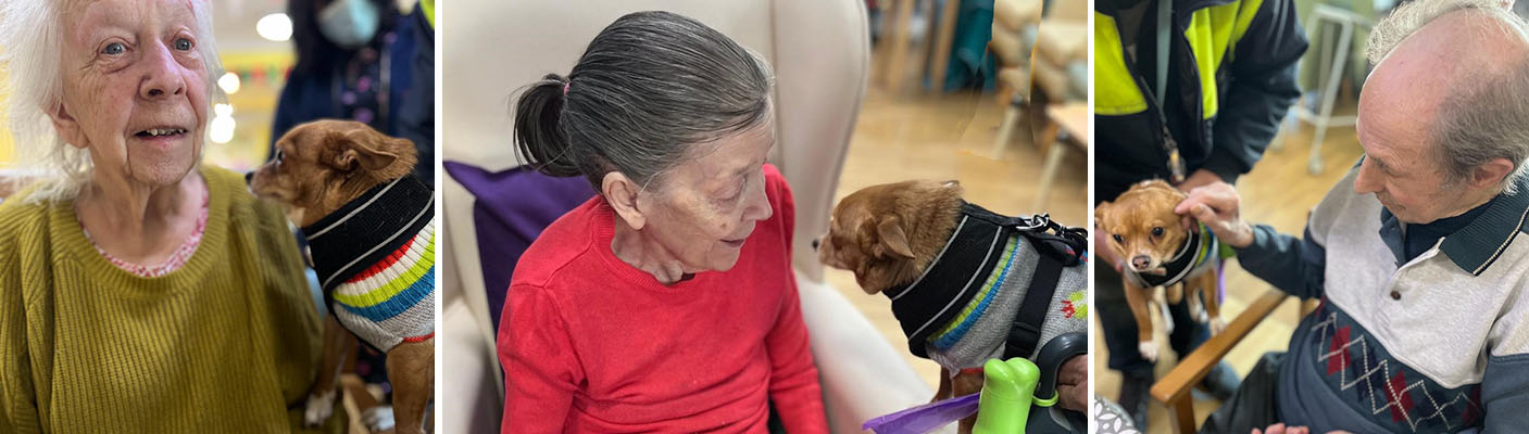 Sonya Lodge Residential Care Home residents with Gizmo the PAT dog