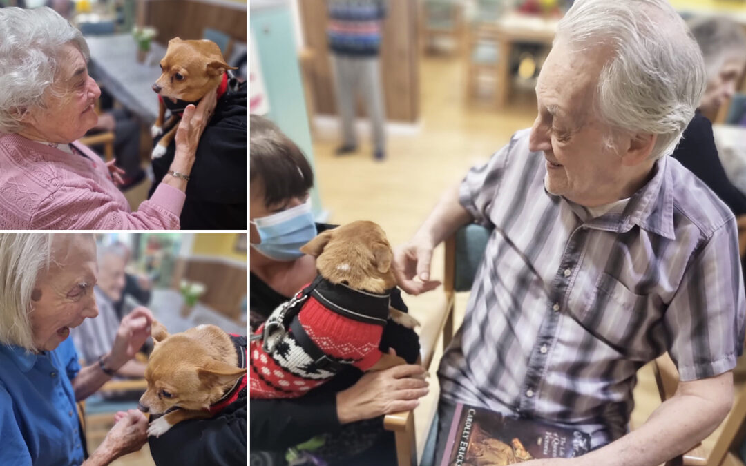 Pet Therapy Dog Gizmo visits Sonya Lodge Residential Care Home residents