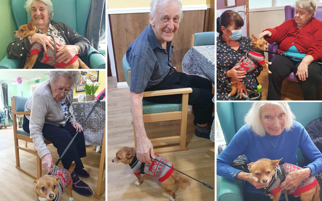 A visit from Gizmo at Sonya Lodge Residential Care Home