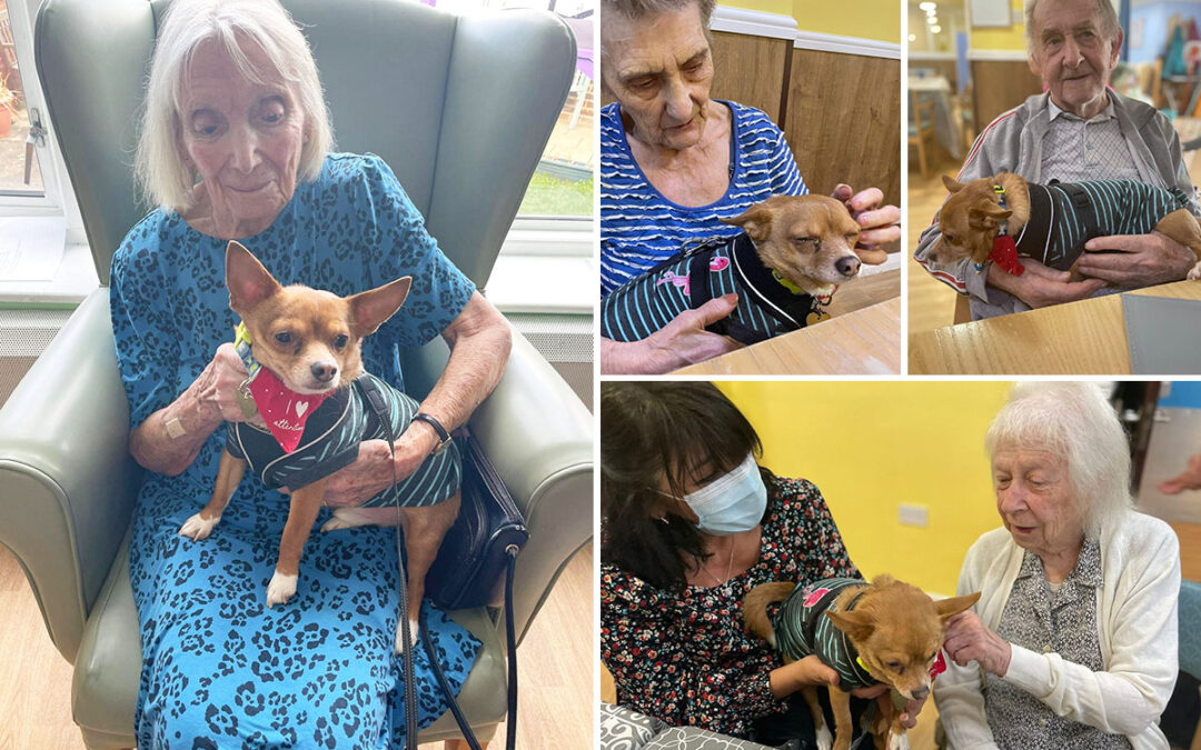Gizmo comes to visit Sonya Lodge Residential Care Home residents