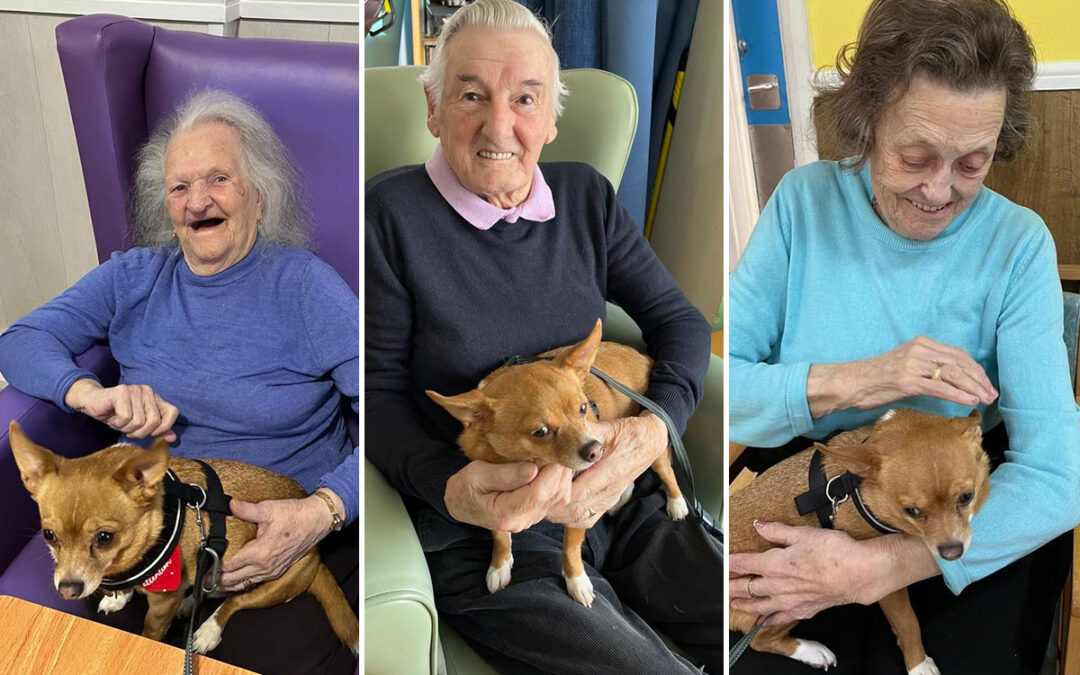 Sonya Lodge Residential Care Home residents love their cuddles with Gizmo