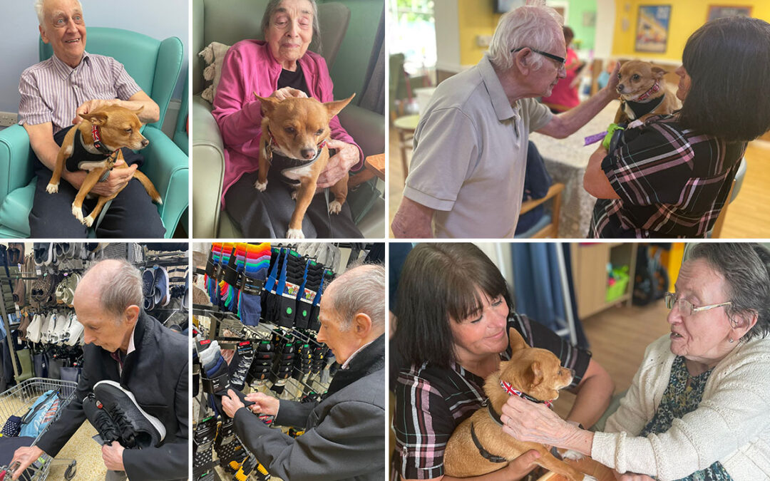 Shopping trip and Gizmo cuddles at Sonya Lodge Residential Care Home