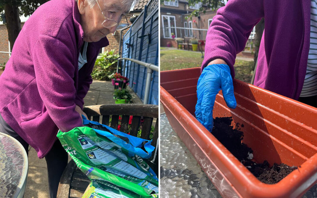 Angelas gardening project at Sonya Lodge Residential Care Home