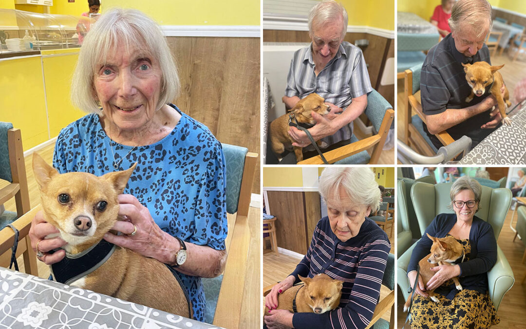 Sonya Lodge Residential Care Home residents enjoy Pet Therapy with Gizmo
