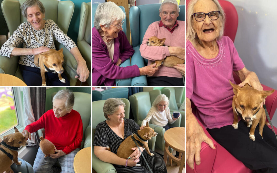 Sonya Lodge Residential Care Home receive a visit from Gizmo