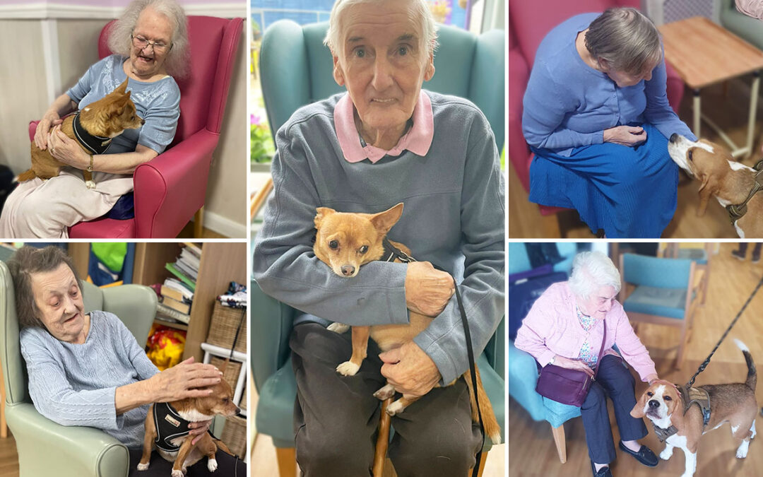 Gizmo and Rolo visit Sonya Lodge Residential Care Home residents