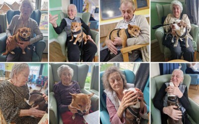 Sonya Lodge Residential Care Home residents love seeing Gizmo and Charlie