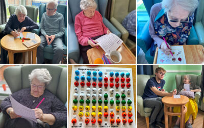 Brain training games at Sonya Lodge Residential Care Home