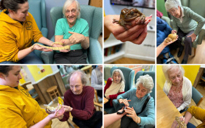 Sonya Lodge Residential Care Home residents make some new friends