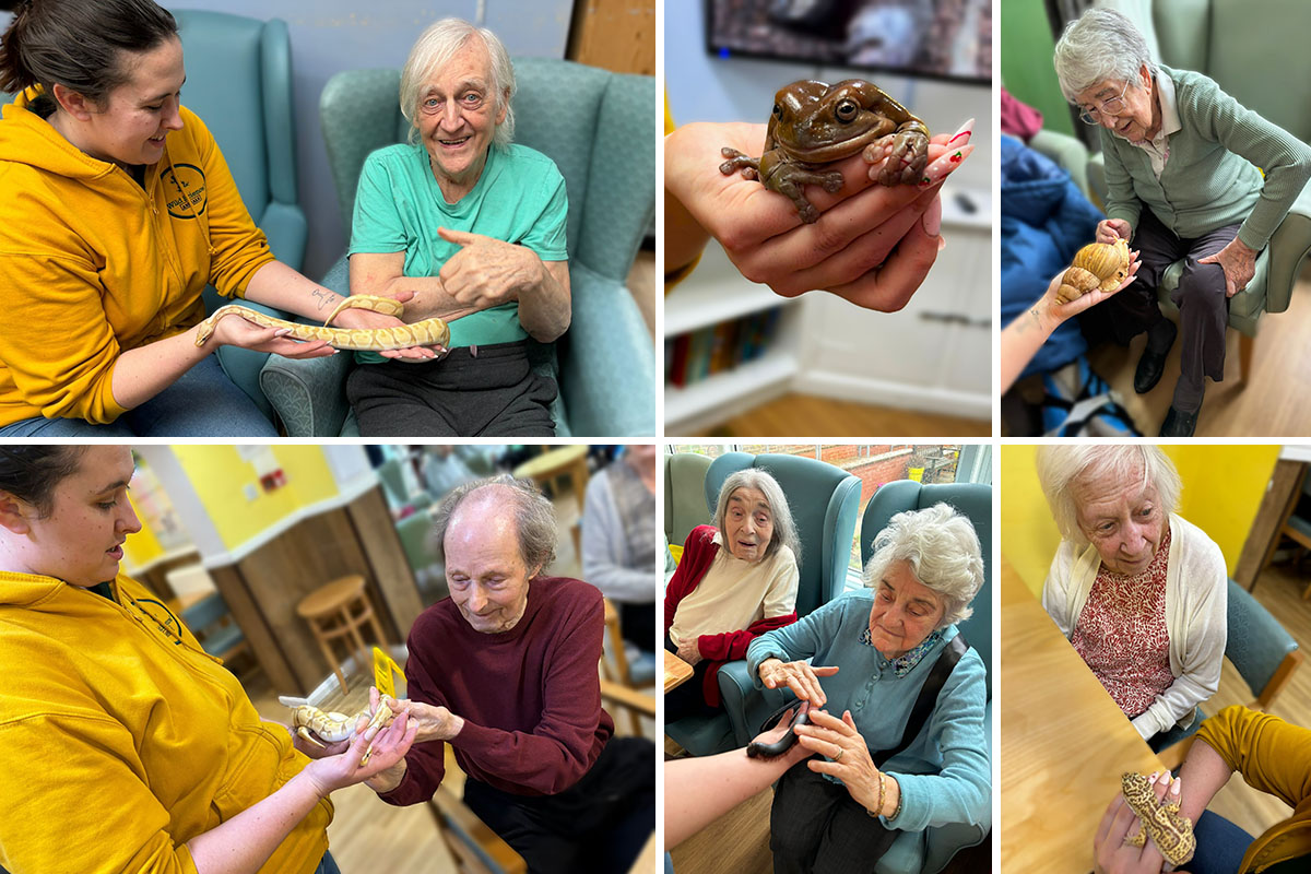 Sonya Lodge Residential Care Home residents make some new friends