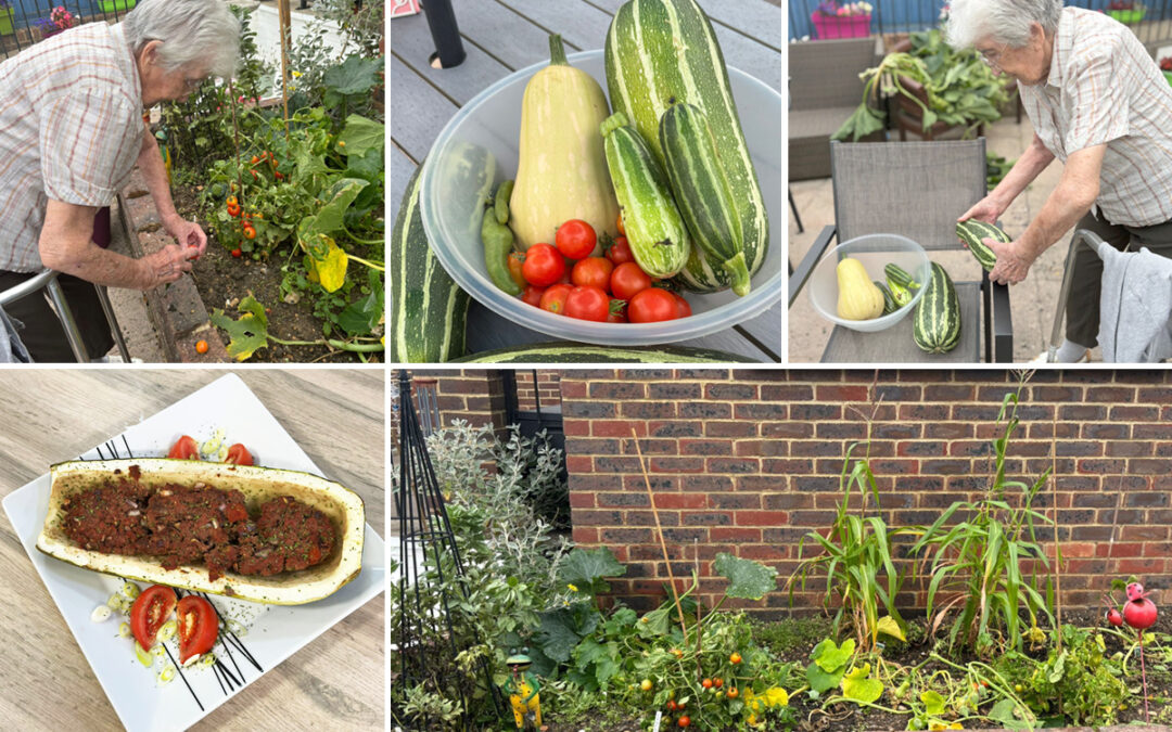 From garden to fork at Sonya Lodge Residential Care Home