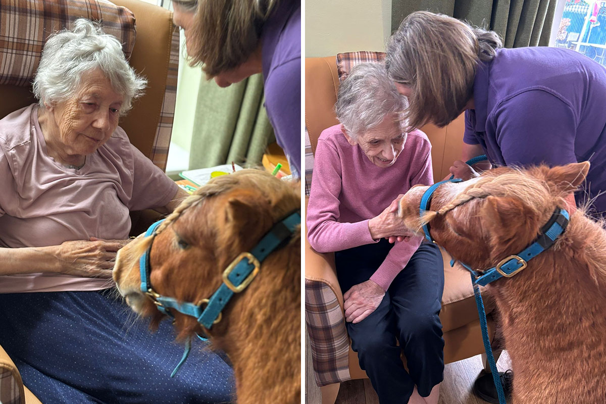 Residents at Sonya Lodge Residential Care Home meeting Dude, a friendly Shetland pony, during an Animal Therapy visit.