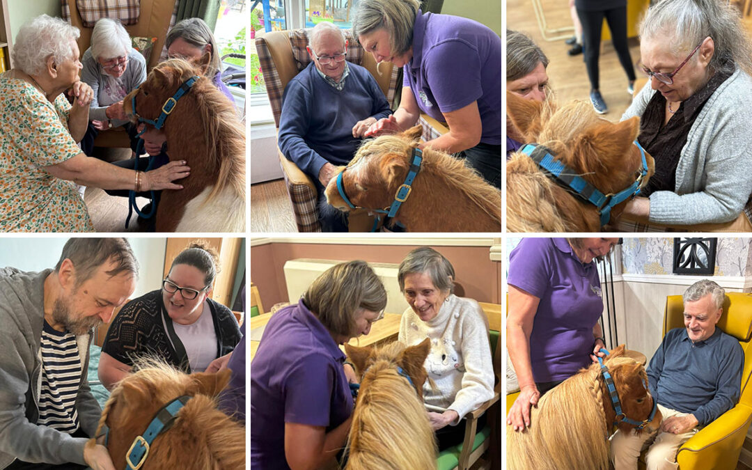 A visit from Dude the Shetland pony at Sonya Lodge Residential Care Home