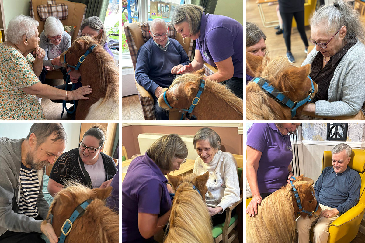 A visit from Dude the Shetland pony at Sonya Lodge Residential Care Home