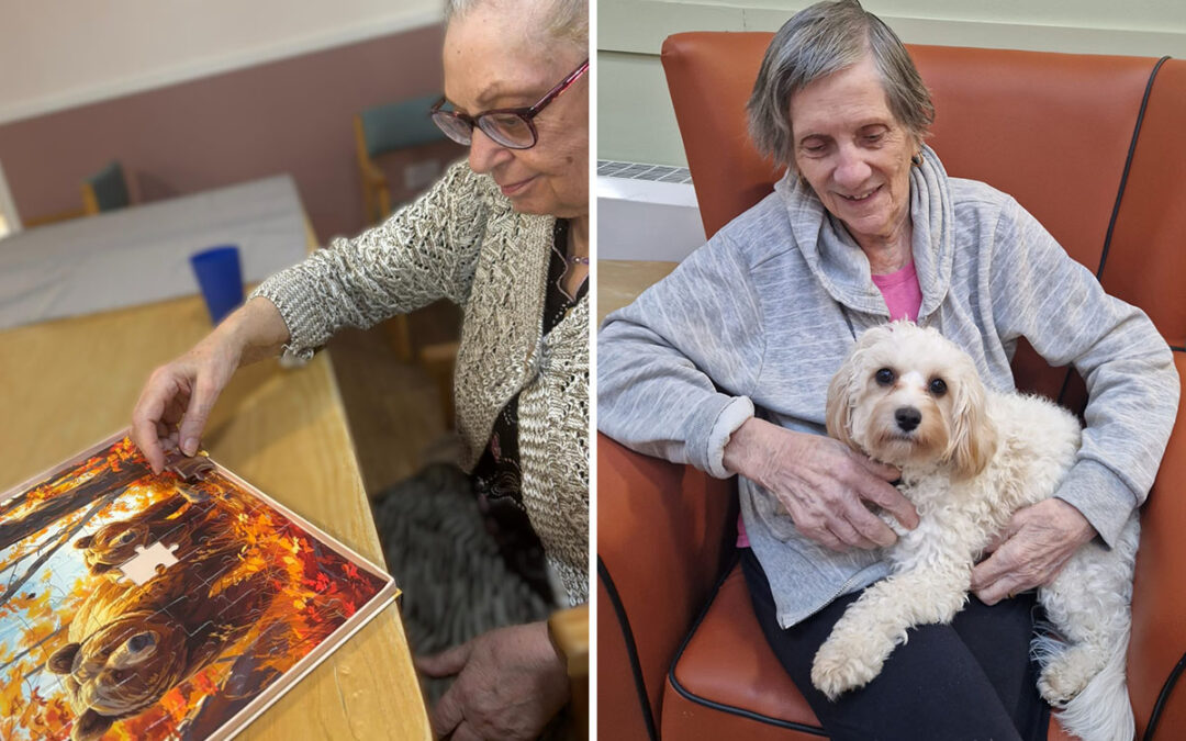 Independent pastimes and inspiring moments at Sonya Lodge Residential Care Home