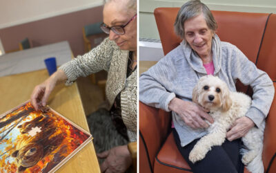 Independent pastimes and inspiring moments at Sonya Lodge Residential Care Home