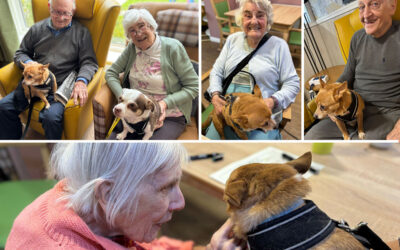 Residents at Sonya Lodge Residential Care Home enjoying Pet Therapy with visiting dogs Charlie and Gizmo, sharing cuddles and smiles during their visit.