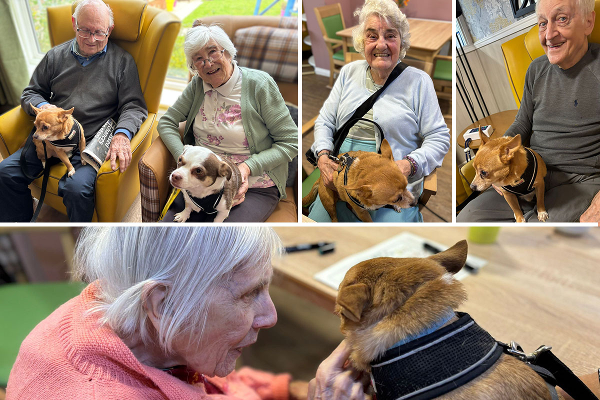 Sonya Lodge Residential Care Home residents love their furry friends and prize bingo