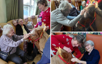 Sonya Lodge Residential Care Home has a special visit from Dude the Shetland Pony