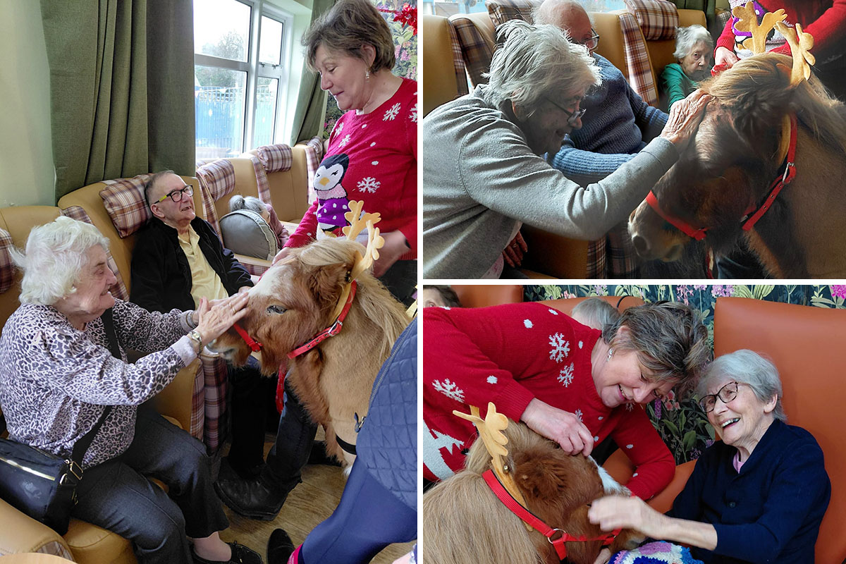 Sonya Lodge Residential Care Home has a special visit from Dude the Shetland Pony