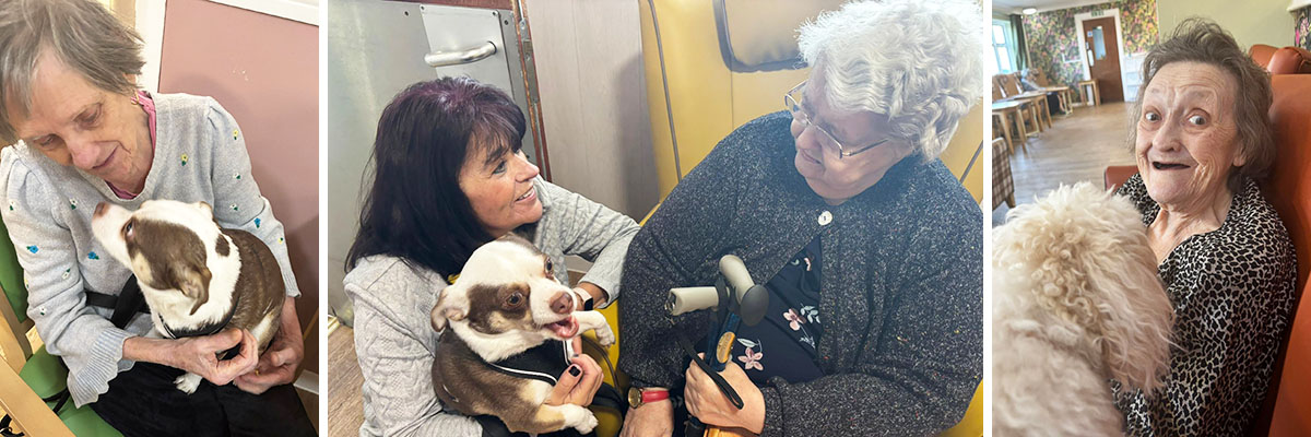 Sonya Lodge residents enjoying cuddles with visiting dogs during a Pet Therapy session.