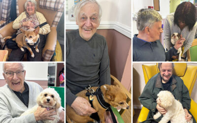 Sonya Lodge Residential Care Home residents enjoying cuddles and companionship from visiting dogs Gizmo, Charlie and Tilly during Pet Therapy sessions.